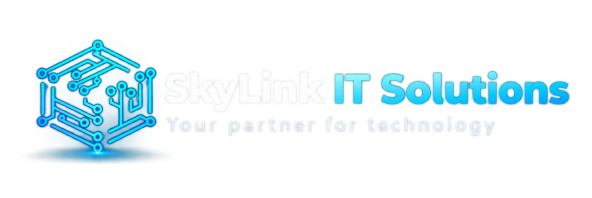 SkyLink IT Solutions